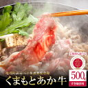 【ふるさと納税】GI 地理的表示 認定ブランド牛 国産 熊本県産 くまもとあか牛 褐毛和種 あかげわしゅ ブランド牛 熊本県認定 和牛 あか牛 すき焼き しゃぶしゃぶ 鍋 500g 選べる定期便 3回 6回 希少 阿蘇 小国町 小国郷 贈答 ギフト 送料無料【地場産品基準：類型8ハ】