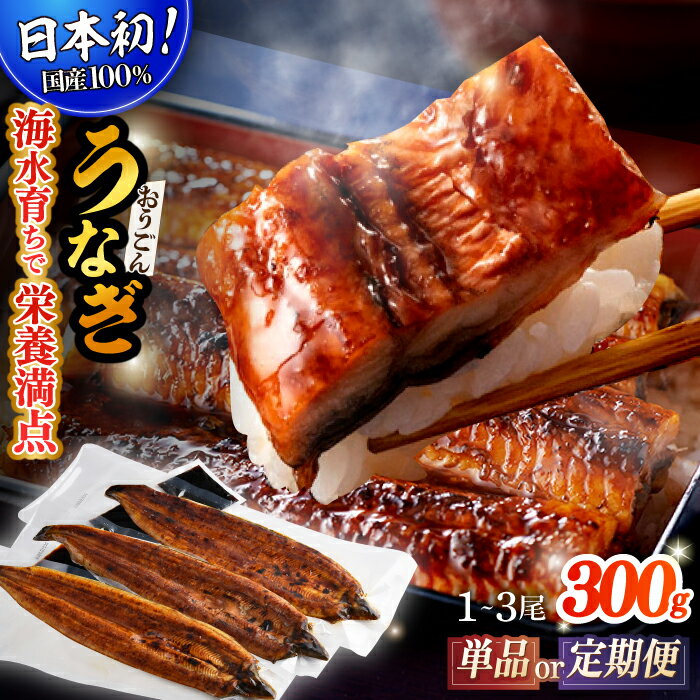 【ふるさと納税】【選べる回数】【単品 定期便 選べる】【日本初！海水で養殖】長崎県産おうごんうなぎ 約300g（1尾〜3尾） 平戸市 / 松永水産 [KAB110] うなぎ 鰻 ウナギ 蒲焼 土用の丑の日 丑の日 健康 滋養強壮