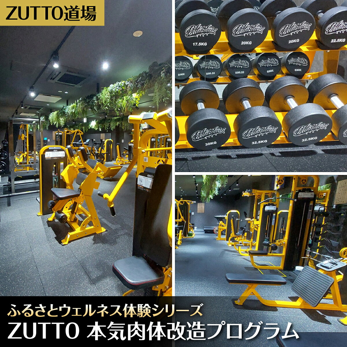 【ふるさと納税】ZUTTO道場ふるさとウェルネス体験シリーズ：ZUTTO 本気肉体改造プログラム　MBBA005