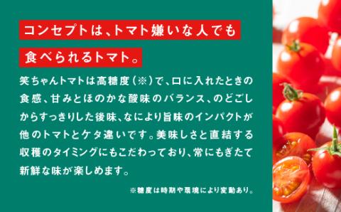 【先行予約】【2024年11月発送】 【ギフト】スパルタ生まれの笑ちゃんトマト(200g×4パック入)  GC-1