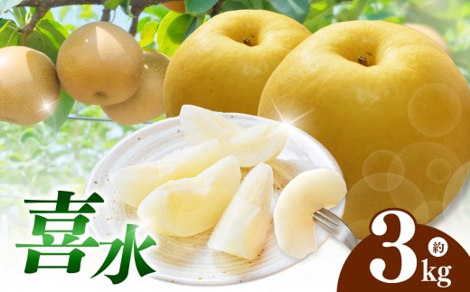 西江豊水園の喜水梨 約3kg ( 7個前後 ) | フルーツ 果物 くだもの 果実 数量限定 旬 完熟梨 梨 なし ナシ 喜水 喜水梨 和梨 3kg 3キロ 新鮮 産地直送 大分県産 九州産 国産 大分県 中津市