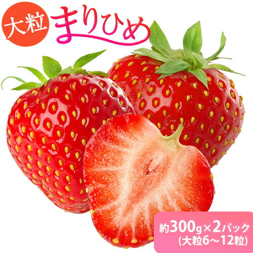 【ふるさと納税】和歌山県産ブランドいちご「まりひめ」約300g×2パック（大粒6〜12粒） 日高川町厳選館《12月中旬-2月末頃出荷》和歌山県 日高川町 送料無料 苺 鞠姫 マリヒメ フルーツ 果物 お取り寄せ 【配送不可地域あり】