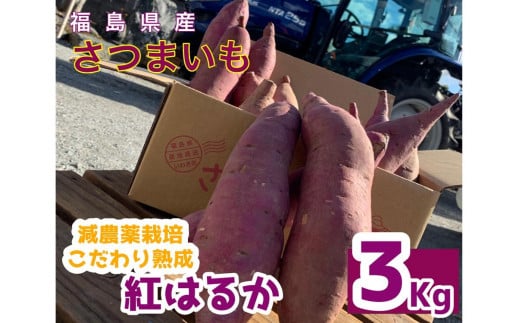 サツマイモ　紅はるか　3Kg　サイズおまかせセット