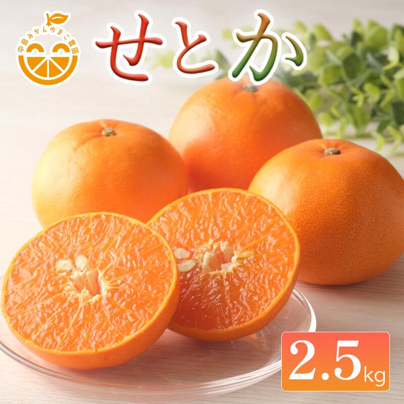 【ふるさと納税】 【2027年2月下旬頃から順次発送】中島産 せとか 2.5kg 家庭用 中島みかんのまこ農園 | みかん ミカン オレンジ おれんじ せとか フルーツ 果物 くだもの 高級柑橘 愛媛県松山市
