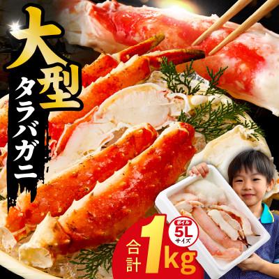 ふるさと納税 泉佐野市 大型ボイルタラバガニ 1kg 5Lサイズ カット済み 訳あり 規格外