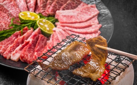 牛肉 A4〜A5 くまもと 黒毛和牛 焼肉 牛肉【500g】