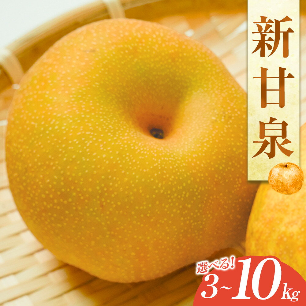 【ふるさと納税】【容量が選べる】新甘泉（しんかんせん）3kg～10kg（JA）　※2026年8月中旬～9月上旬頃に順次発送予定 | フルーツ 梨 なし ナシ 新甘泉 秋 旬 果物 くだもの 鳥取県 北栄町