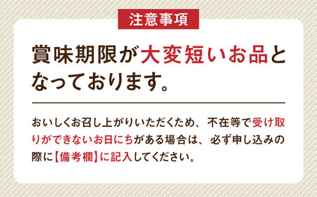 朝採り新鮮きゅうり 約2kg（約14～20本）/株式会社 y’s company[UDX001]