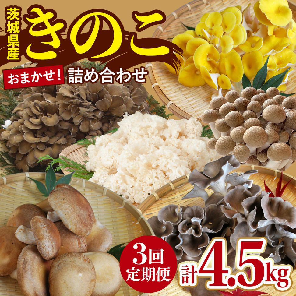 【 3ヶ月 連続定期便 】 きのこ の 詰め合わせ Mサイズ 約1.5k