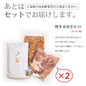 博多水炊き(はかた地どり切り身・つみれ)セット4～6人前 D29J