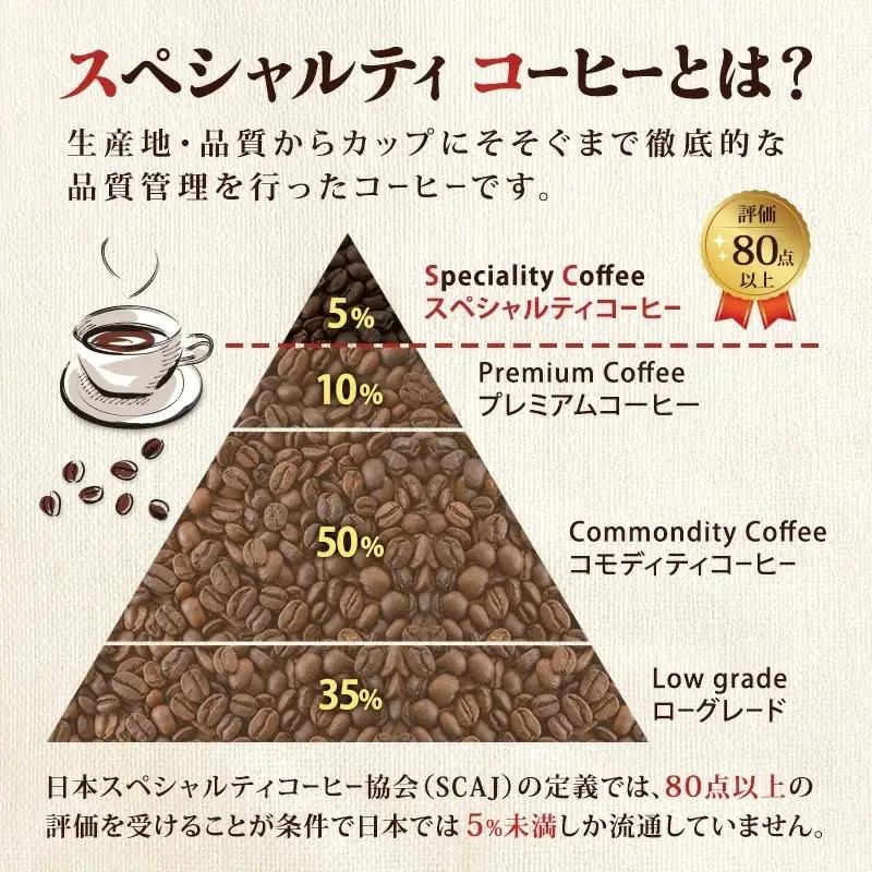 スペシャルティ コーヒー粉 180g×2袋 珈琲粉