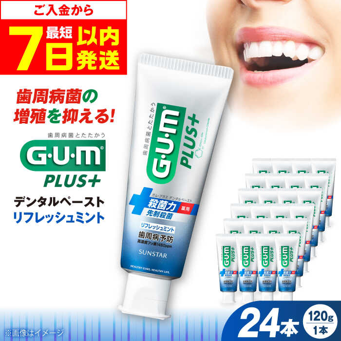【年内配送】【ふるさと納税】ガム・プラス デンタルペースト 120g×24本（リフレッシュミント） 歯磨き 歯ブラシ 歯磨き粉 歯周病 虫歯 口臭 大阪府高槻市/サンスター[AOAD028]