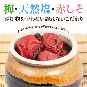 自家製梅干し×3パック 合計540g (180g×3) 世羅産 大粒 昔ながら すっぱい すっぱい梅 梅 梅干 ウメ しそ梅 うめ漬 赤しそ うめぼし おにぎり お弁当 A035-15