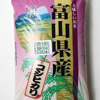 ふるさと納税 小矢部市 松永うの花農園産　コシヒカリ　10kg |  | 02