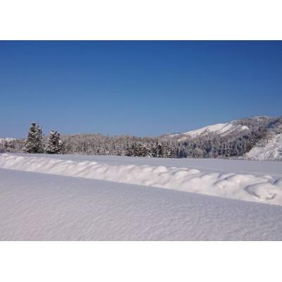 ふるさと納税 南魚沼市 【令和7年産 新米】南魚沼産コシヒカリ 5kg  井口農場こだわりの 特別栽培米 |  | 01