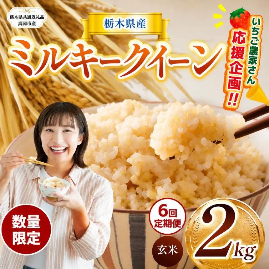 先行予約【定期6回】令和8年度 栃木県産ミルキークイーン 2kg【栃木県共通返礼品】