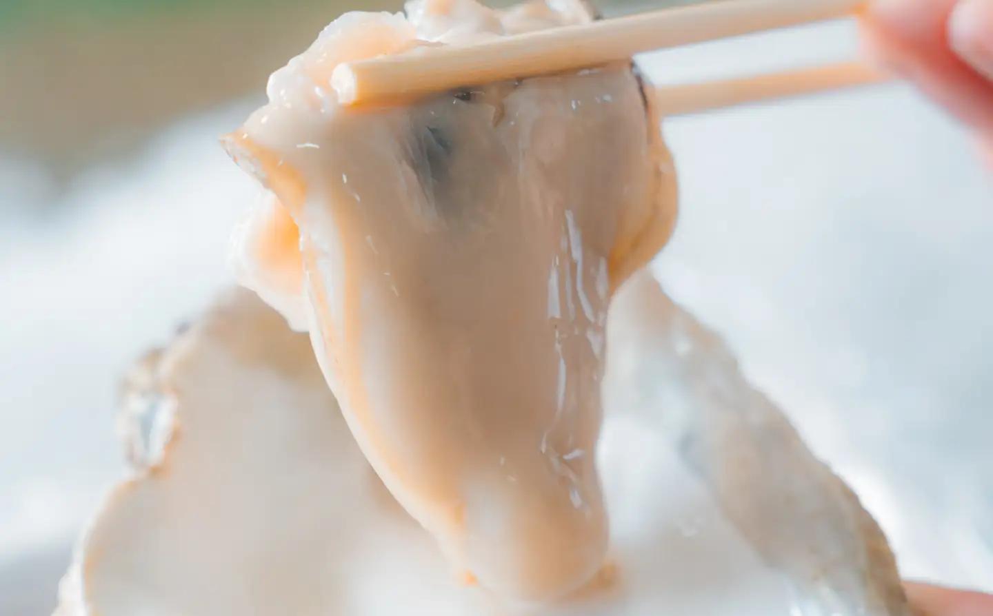 牡蠣 鳥取県産 天然岩ガキ 夏輝 特大サイズ 3個（500g以上×3個) ※着日指定不可※2026年6月上旬～8月下旬頃に順次発送予定 | 牡蠣