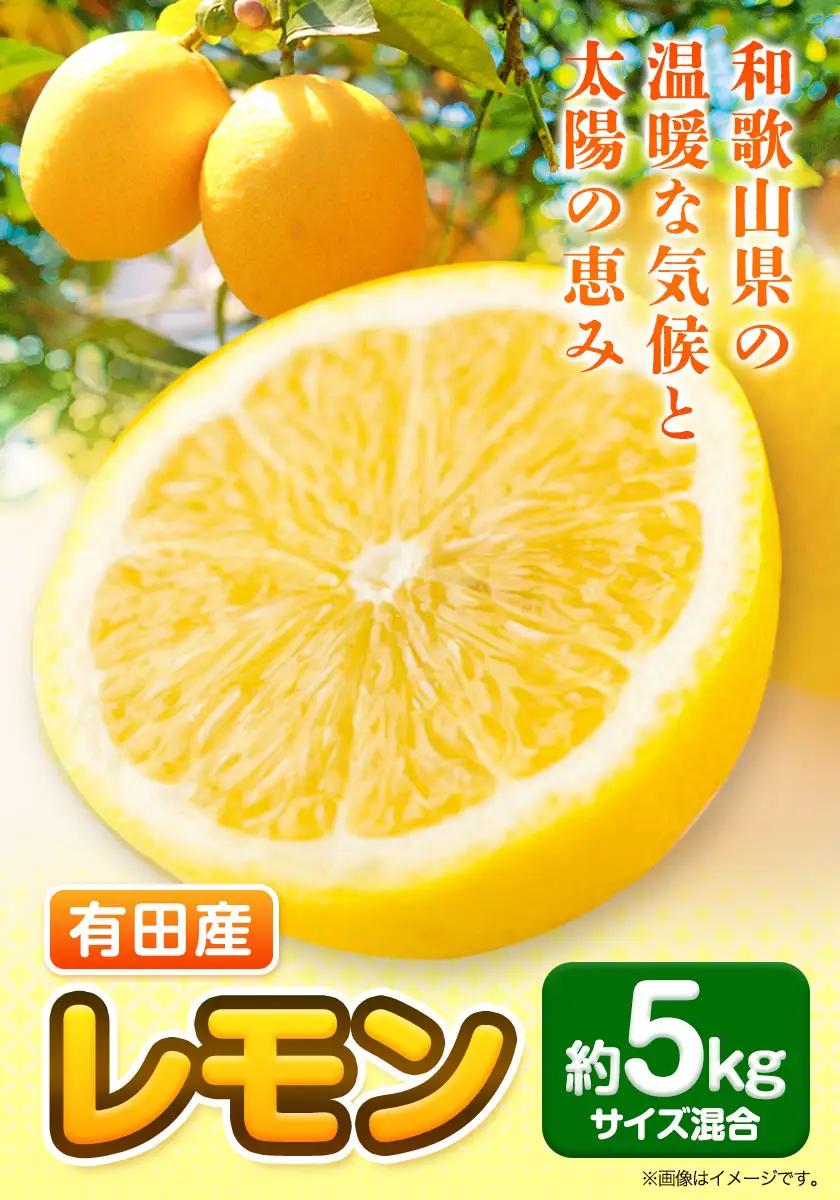 有田産 レモン 約 5kg 厳選館 レモン 檸檬