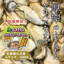 【ふるさと納税】数量限定 北海道 厚岸産 ムキえもん 500g カキの剥き身　厚岸町　お届け：2025年1月中旬～6月末