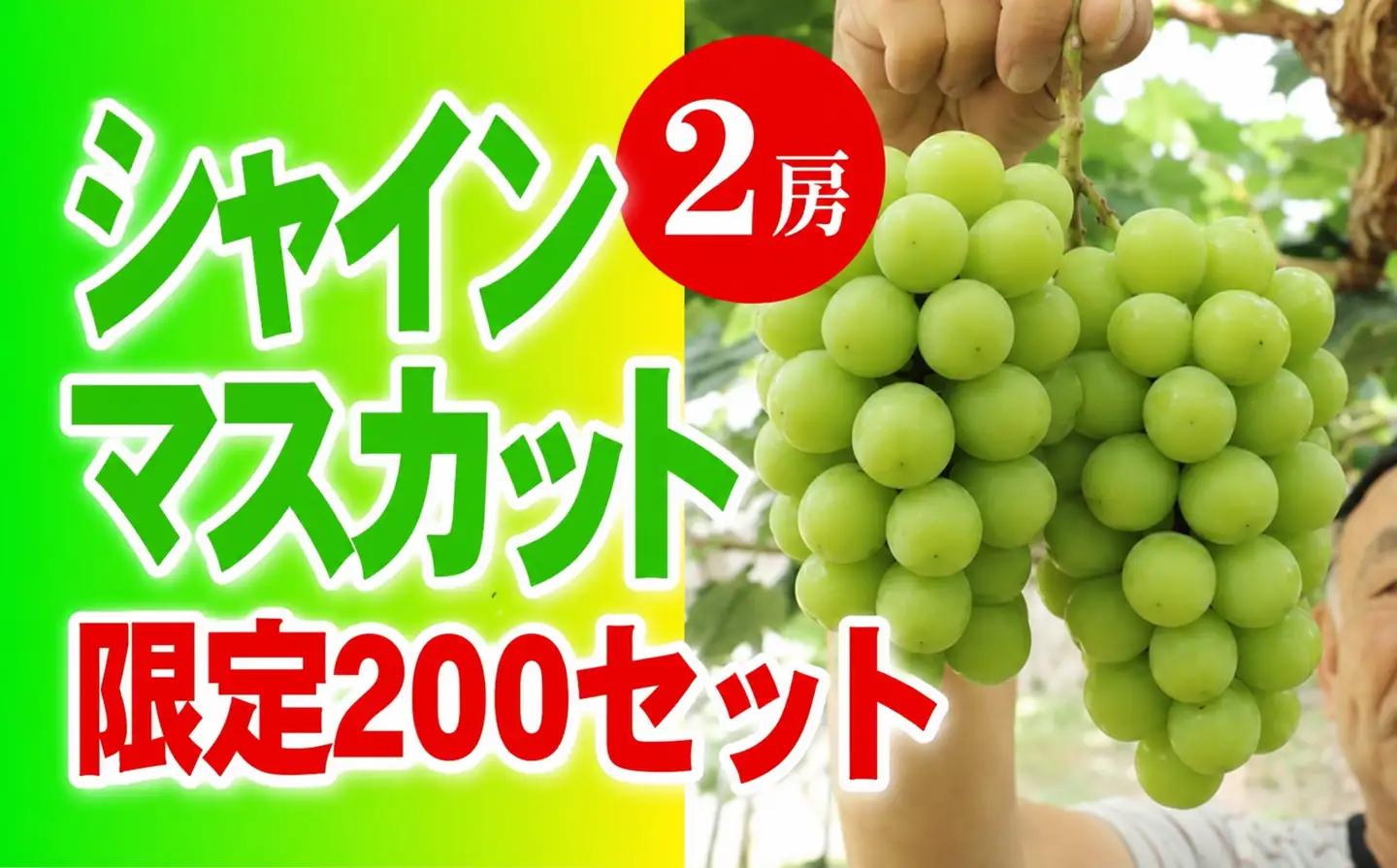 シャインマスカット 【2026年発送】 ２房 大粒 秀品 岡山県産 ハウス栽培 産地直送