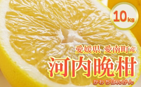 フルーツアイランド・マルエム直販の愛南産の河内晩柑 約10kg 柑橘 フルーツ 果物 蜜柑 みかん くだもの mikan かわち ばんかん かんきつ 和製 グレープフルーツ 愛南ゴールド デザート 果実 果汁 甘い ジューシー おいしい 特産品 国産 農園 直送 産地 直送 愛媛県 愛南町