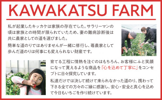 ふくおかエコ農作物認証あまおう 2Lサイズ 1箱セット あまおう イチゴ 苺 いちご フルーツ 果物 くだもの 福岡県産 お取り寄せグルメ お取り寄せ 福岡 お土産 九州 福岡土産 取り寄せ グルメ 