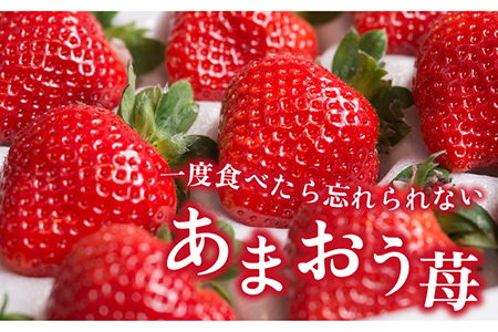 糸島産あまおうギフト箱（12-15粒）《糸島》【南国フルーツ株式会社】[AIK010] いちご 苺 イチゴ あまおう 果物 フルーツ ストロベリー グルメ パフェ ケーキ パンケーキ あまおう苺 あま