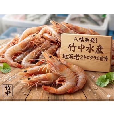 ふるさと納税 八幡浜市 竹中水産の地海老(八幡浜産)2キロ!【F22-267】