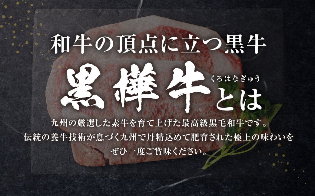 【定期便】黒樺牛【3回定期便】 ロースステーキ 400g （200g×2パック） 合計1.2kg お肉 肉 牛肉 ブランド黒毛和牛 和牛 黒毛和牛 ブランド牛 ステーキ ロースステーキ 冷凍 国産 九