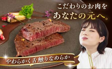 【全12回定期便】【A4/A5等級】博多和牛 ヒレステーキ 1kg (100g×10枚) 糸島市 / ヒサダヤフーズ 黒毛和牛 牛肉 ヒレ肉 雌牛[AIA095]