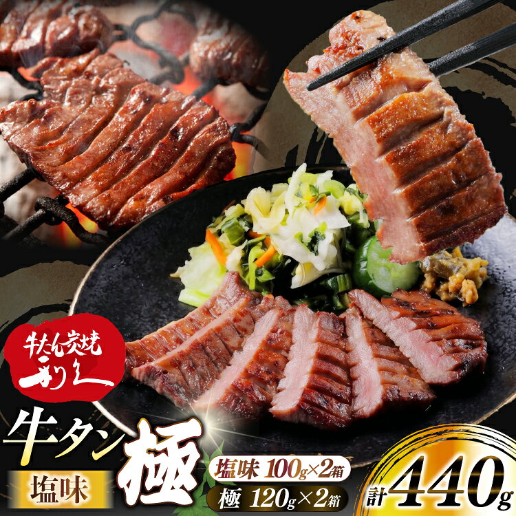 【ふるさと納税】 牛たん 炭焼 利久 牛たん極 (塩味) ＆ 牛たん塩味 各2個 セット [利久 宮城県 気仙沼市 20566129] 牛タン 牛 肉 牛肉 タン 焼肉 キャンプ アウトドア バーベキュー BBQ 牛タン塩 牛たん塩 冷凍 小分け 個包装