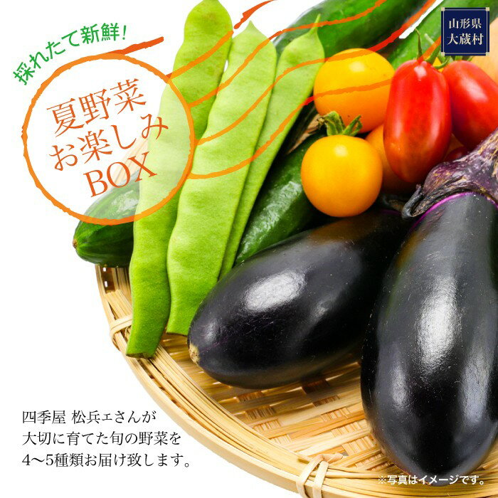 【ふるさと納税】採れたて新鮮！夏野菜お楽しみBOX