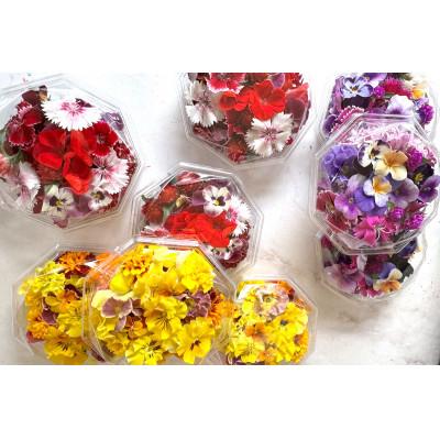 ふるさと納税 伊勢原市 【毎月定期便】加藤さんちのエディブルフラワー5パック (1パックあたり季節のお花15〜30輪)全6回 |  | 02