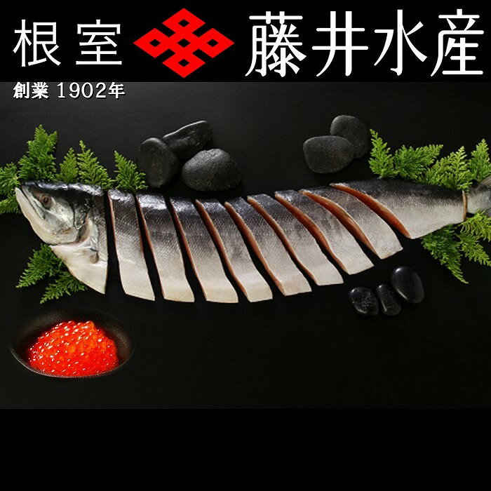 【ふるさと納税】【12月21日決済確定分まで年内配送】 [北海道根室産] 時しらず鮭 600g × 1P ・いくら醤油漬け 70g × 2P 鮭 さけ サケ しゃけ シャケ 魚 さかな サカナ 沖どれざけ 春ザケ 春ざけ 春鮭 時不知 時鮭 ときしらず イクラ 醤油 醤油漬 魚卵 鮭卵 北海道 B-42106