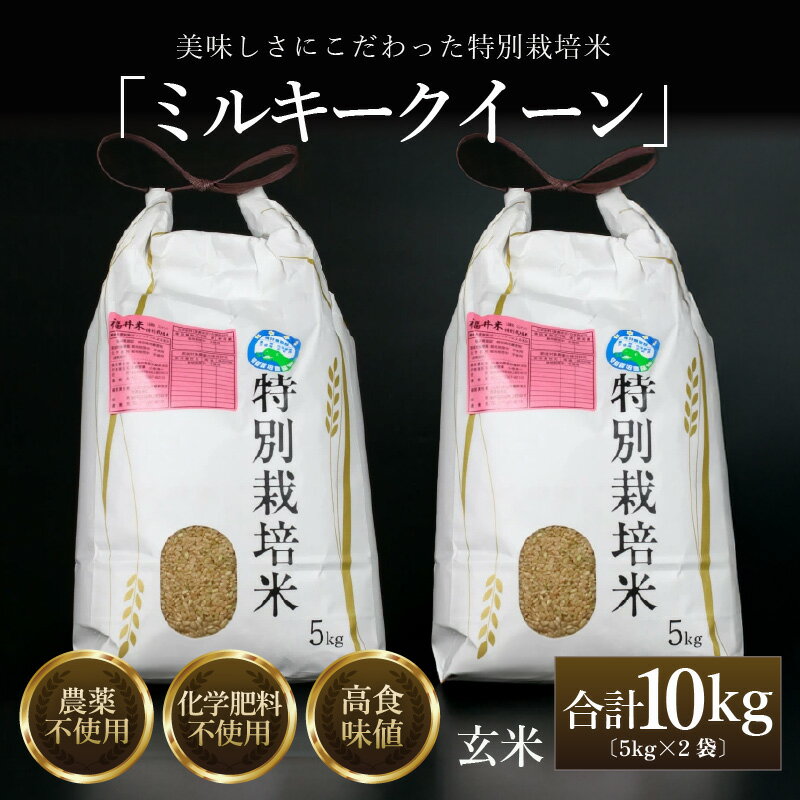 【ふるさと納税】【先行予約】【令和8年産 新米】 ミルキークイーン 玄米 10kg （5kg×2袋） 特別栽培米 農薬不使用 化学肥料不使用 ／ 米 お米 10キロ 高品質 鮮度抜群 福井県産 ブランド米 ※2026年10月上旬以降順次発送