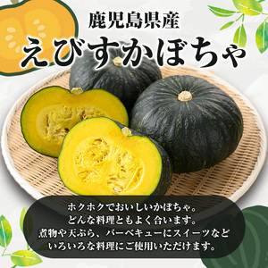 ＜先行予約受付中！2024年5月より順次発送＞鹿児島県産 えびすかぼちゃ(約5kg) 国産 野菜 かぼちゃ カボチャ 南瓜 煮物 天ぷら バーベキュー BBQ スイーツ お菓子 期間限定【松永青果】a