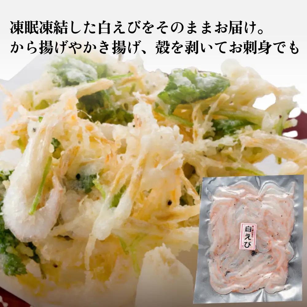 ”富山湾の宝石”白エビ３種（殻付き・刺身・昆布〆）〈冷凍〉