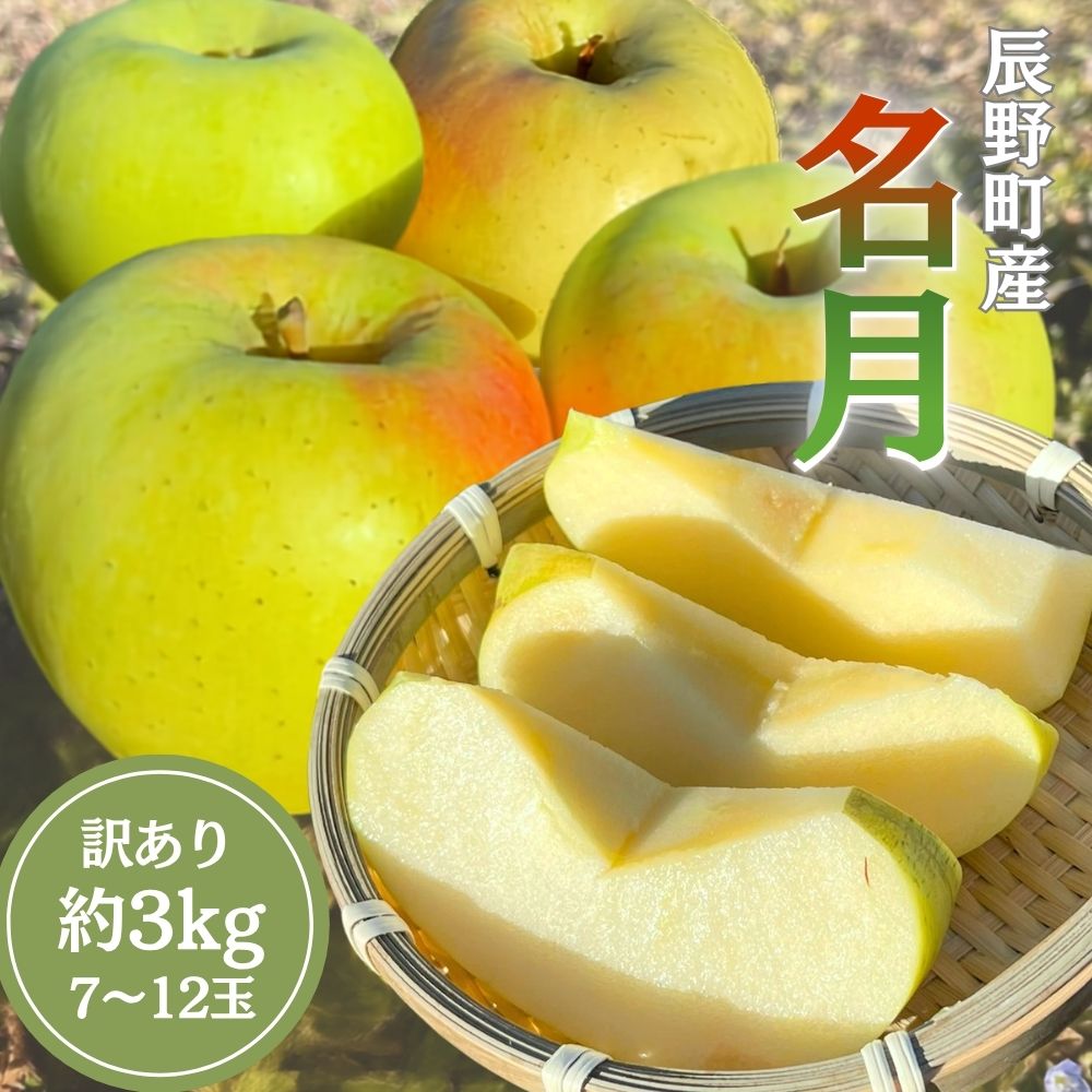 【ふるさと納税】 398 先行予約 ※訳あり りんご 名月 約3kg 11月中下旬以降発送【野澤フルーツ農園】