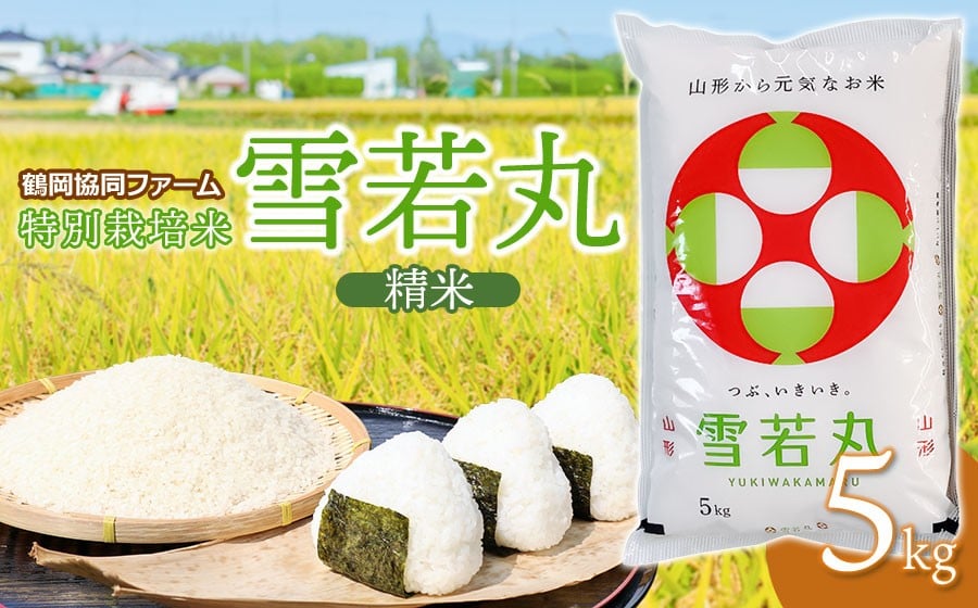 
            【令和7年産】【新米】 特別栽培米 雪若丸 5kg (5kg×1袋) 山形県鶴岡産　鶴岡協同ファーム
          