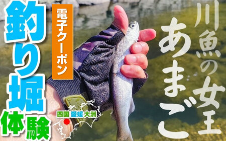 【電子クーポン】透き通る渓流の流れ あまご釣り堀体験 クーポン（お一人様分）愛媛県大洲市/株式会社ゆうとぴあ河辺[AGDO001]