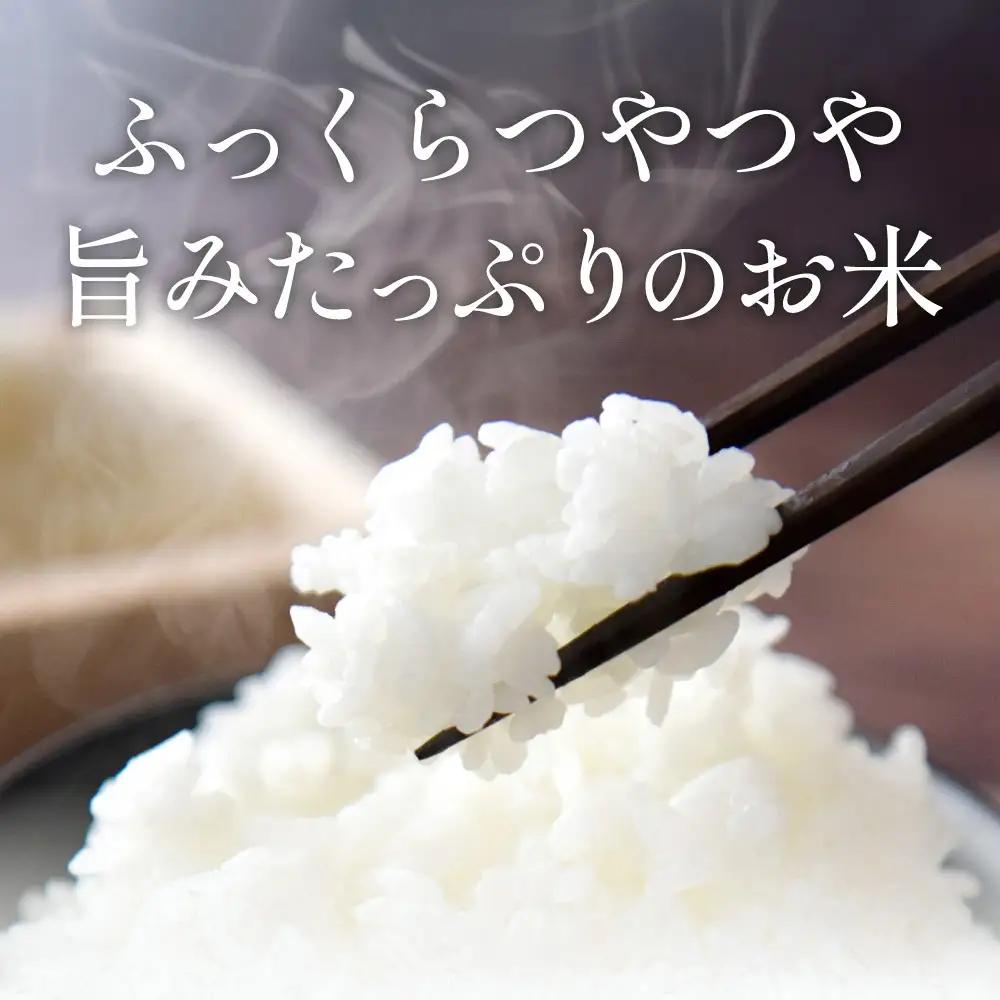 寄付額改定〈スピード出荷〉減農薬 特A 丹波篠山産 特別栽培米 こしひかり 10kg 精米 小分け