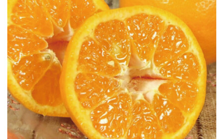 ポンカン 約8kg/サイズおまかせ　※2026年1月下旬～2026年2月下旬頃に順次発送予定(お届け日指定不可)　紀伊国屋文左衛門本舗　【kstb450B】