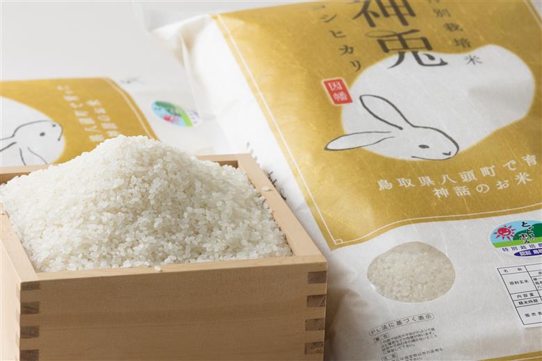 特別栽培米コシヒカリ20kg