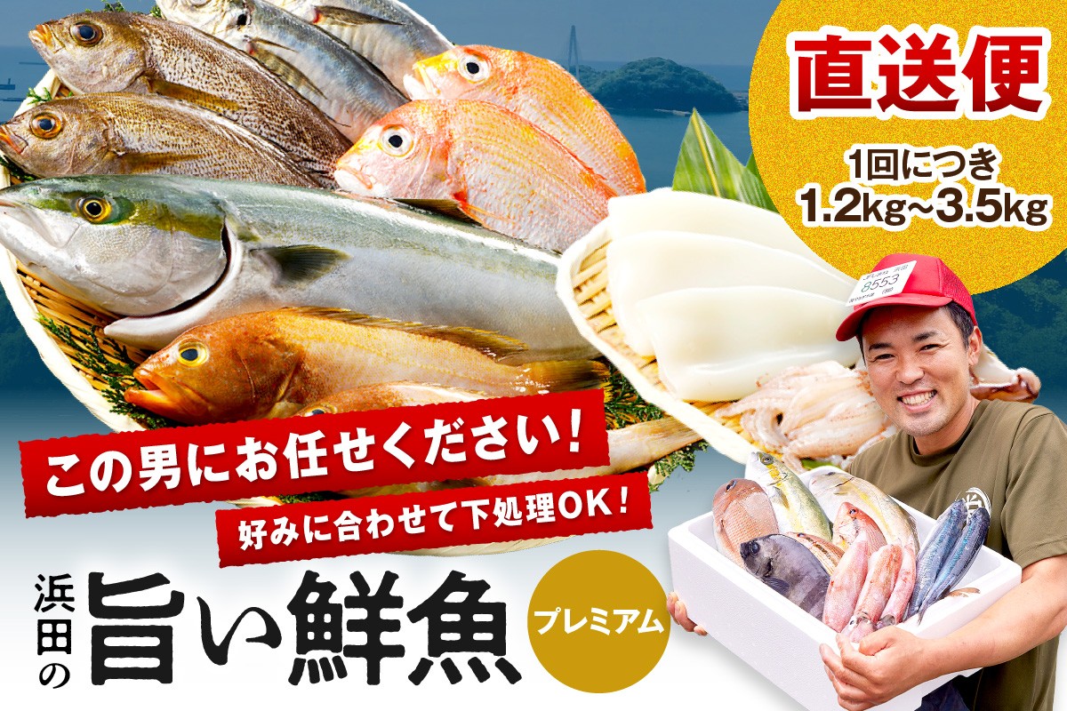 浜田のプレミアム鮮魚～この男シリーズ～ 海鮮 セット 鮮魚 詰め合わせ おまかせ 鮮魚セット 海鮮セット 海鮮 下処理済み 【006_2066】