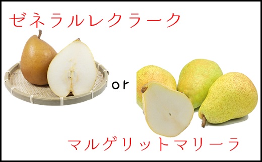 食の都庄内【令和7年産】《10・11・12月お届け-B》季節の贈り物-3ヶ月定期便 《10・11・12月お届け-B》