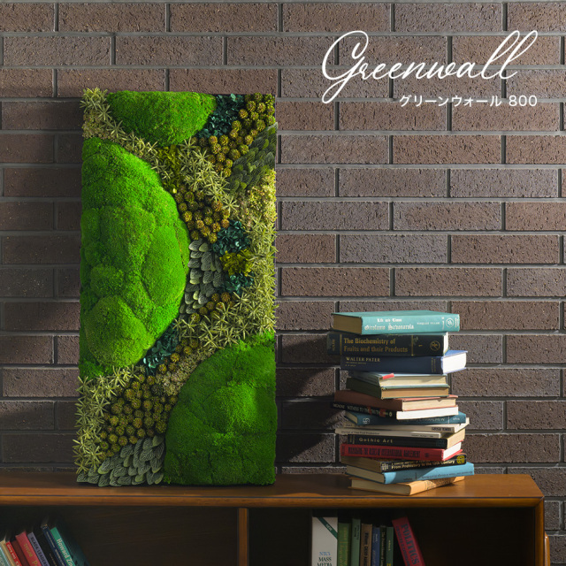 グリーンウォール800 花 お花 プリザーブドフラワー ギフト プレゼント お祝い 誕生日 お供え アレンジ インテリア 東京都 墨田区