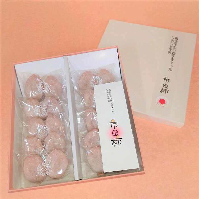 【ふるさと納税】【市田柿専門店　金の柿】白箱「秀品」450g(2個包装10袋入り)※2025年1月中旬～3月下旬発送※