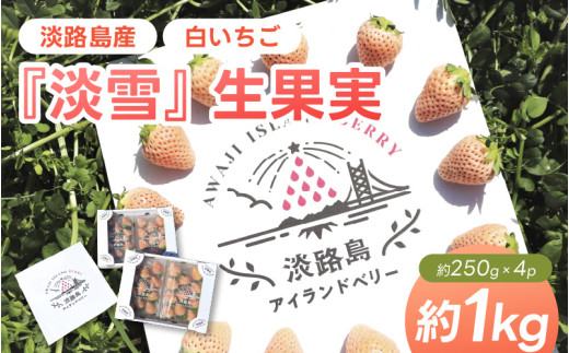 【大玉】淡路島産白いちご　『淡雪』 生果実 1kgセット