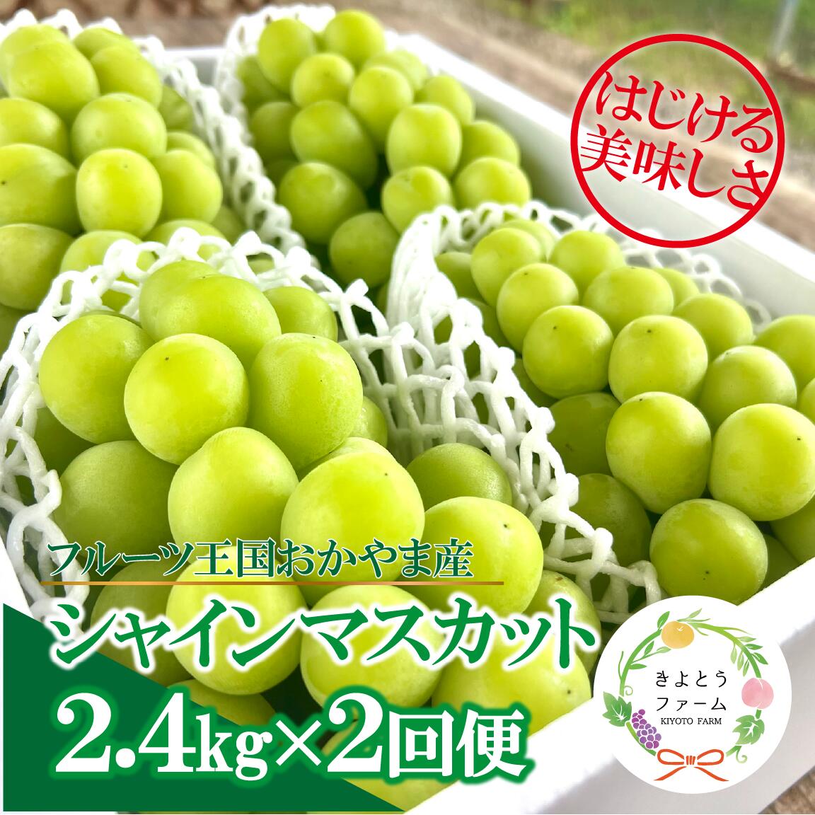 【ふるさと納税】 岡山のシャインマスカットを楽しむ満足2回便！大3-5房入×2回/全便計4.8kg～ (定期便)(岡山県産)【2026年先行予約】【配送不可地域：離島】【KF-T065-02】/ シャインマスカット 葡萄 ぶどう 果物 くだもの フルーツ 定期便