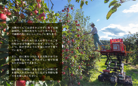 羽山りんごジュース 無添加 1000ml 6本セット【斎藤りんご園】